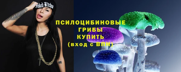 прущая мука Абаза