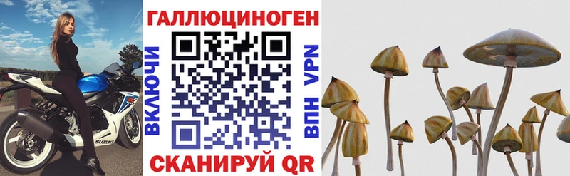 Галлюциногенные грибы прущие грибы  это как зайти  Алейск 